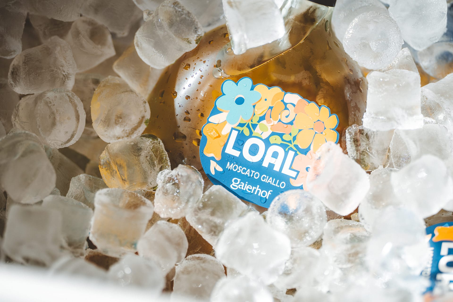 Back to the Roots of Low-Alcohol: Discovering Gaierhof’s Loal Range